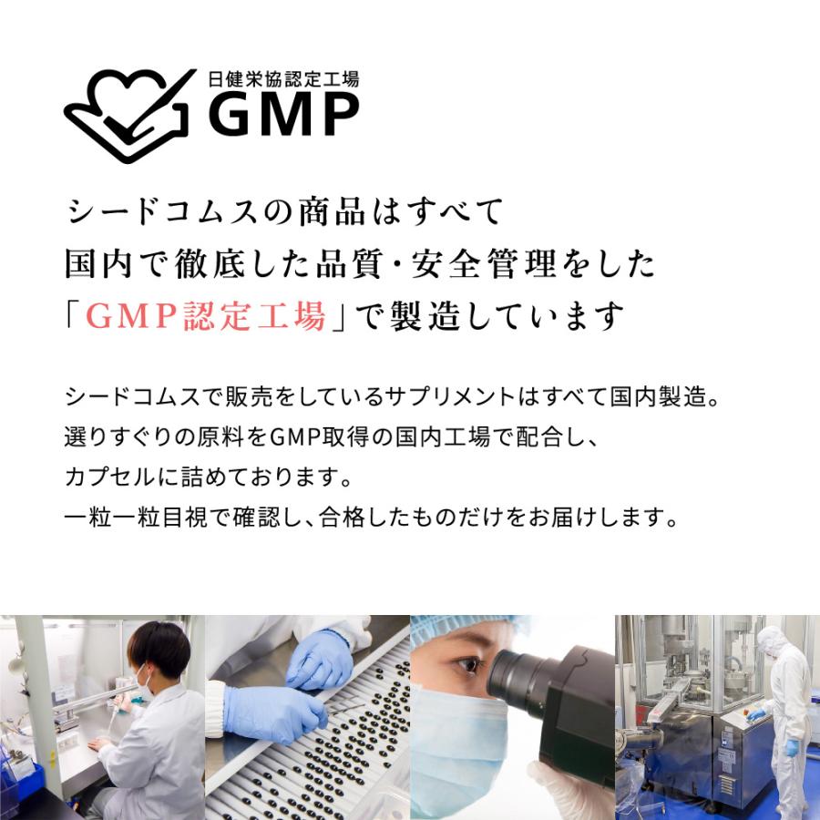M Collection25 | 商品情報