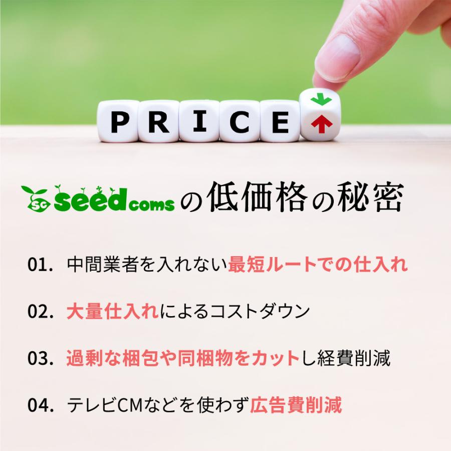 seedcoms NMN サプリ 約1ヵ月分 nmn 日本製造 純度100％ NMN6
