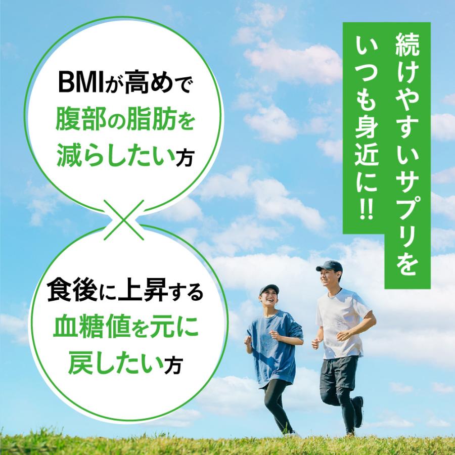 腹部の脂肪や血糖値が気になる方 BMIと血糖値　1ヵ月分×６袋　機能性表示食品 seedcoms 腹部の脂肪や血糖値が気になる方へ BMIと血糖値 30粒