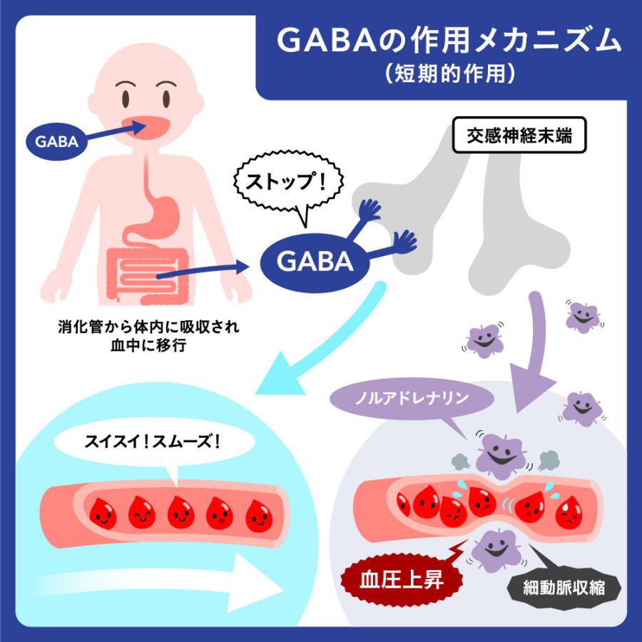 クーポンで70％OFF 血圧 睡眠 ストレス GABA 1ヵ月分 機能性表示食品 GABA1粒100mg配合 テアニン トリプトファン グリシン｜seedcoms｜08