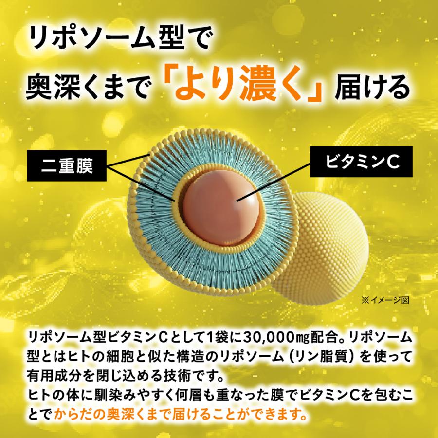 seedcoms（シードコムス） ビタミンC サプリメント リポソーム型