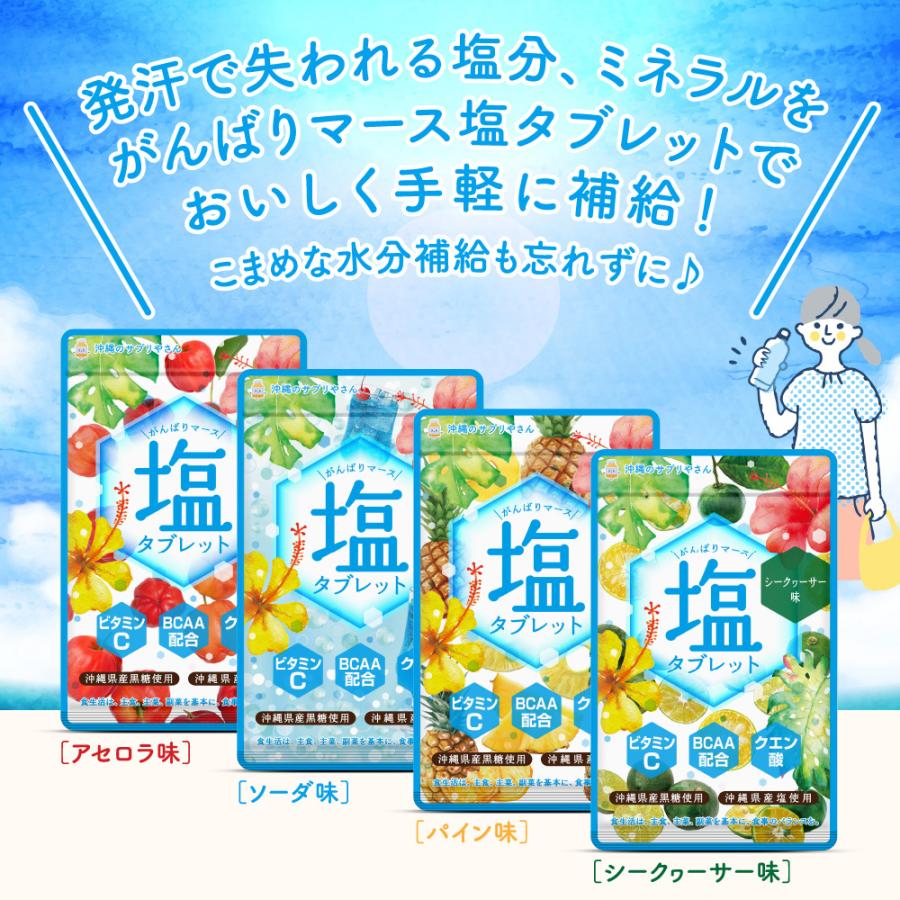 seedcoms（シードコムス） がんばりマース 塩タブレット ソーダ味（1袋 