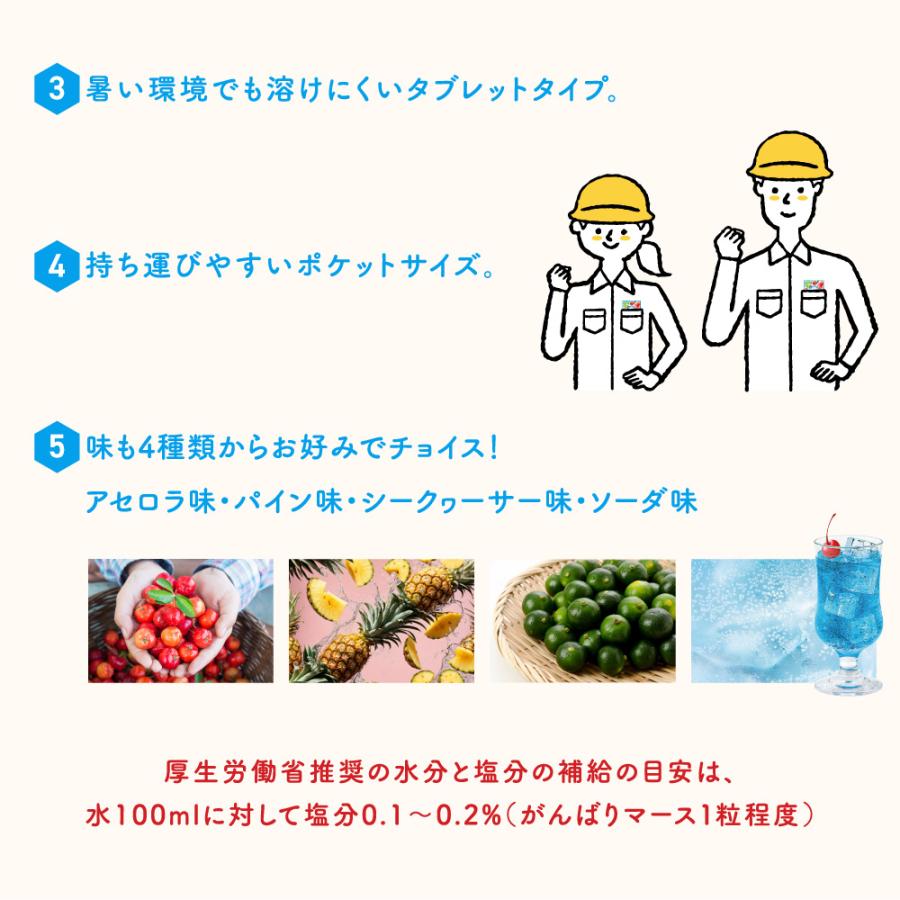 seedcoms（シードコムス） がんばりマース 塩タブレット ソーダ味（1袋 