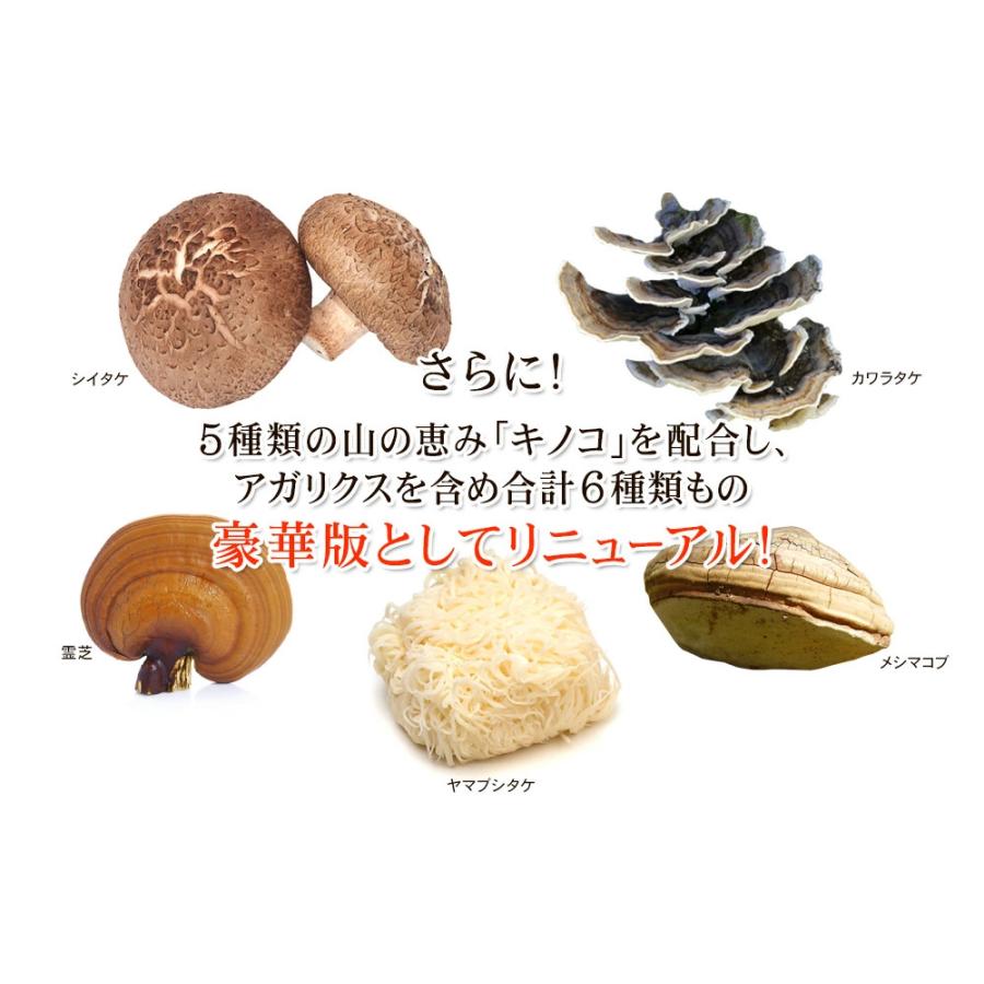 きのこ様★専用になります seedcoms サプリ サプリメント キノコの王様アガリクスが
