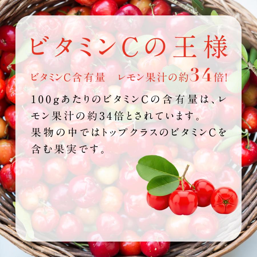 seedcoms（シードコムス） サプリメント アセロラたっぷりビタミンC 約