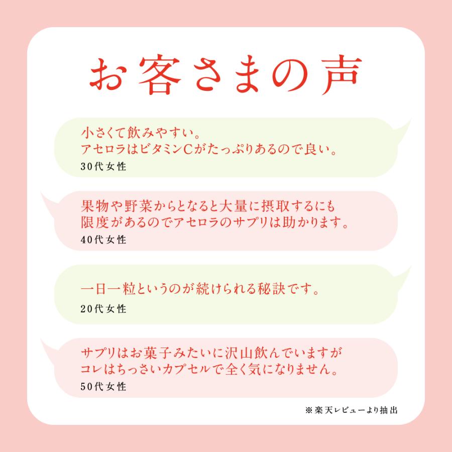 seedcoms（シードコムス） サプリメント アセロラたっぷりビタミンC 約