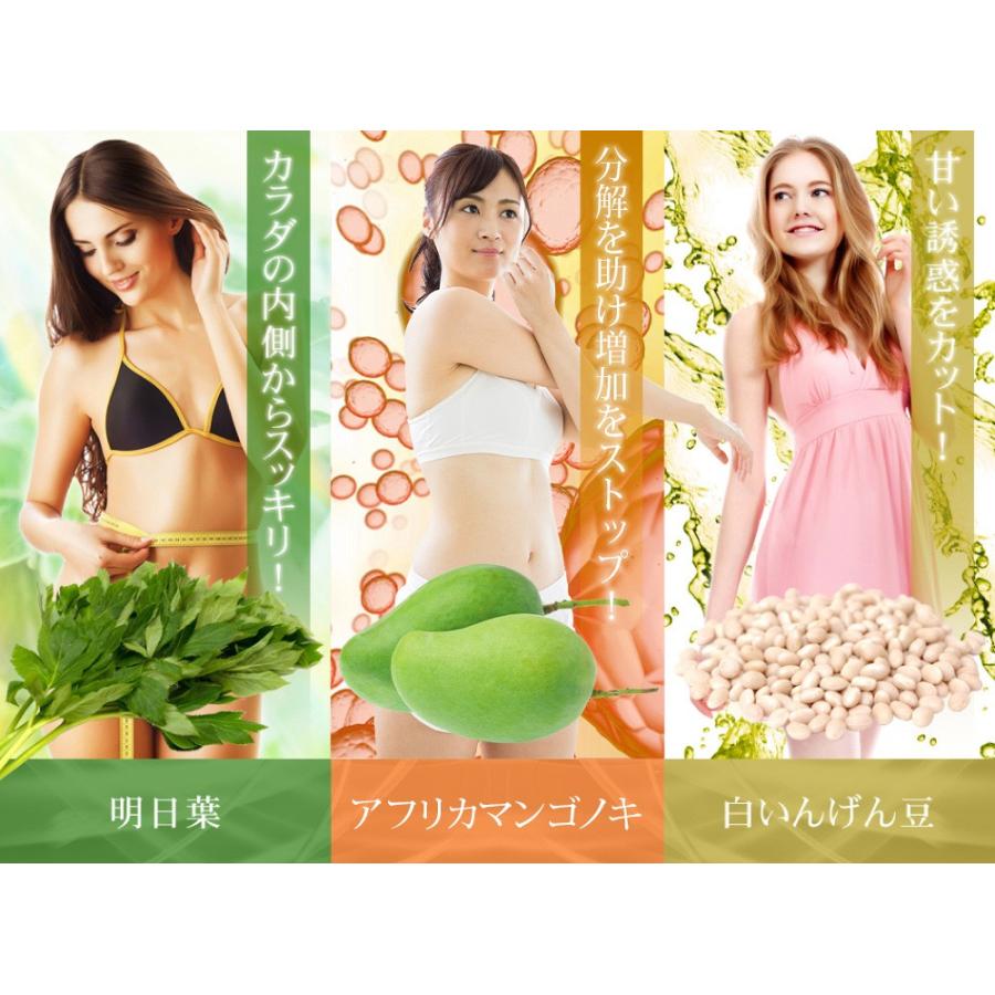 サプリ サプリメント 明日葉 アフリカマンゴノキ 白いんげん豆エキス 約1ヵ月分 ダイエット サプリ サプリメント | seedcoms | 03
