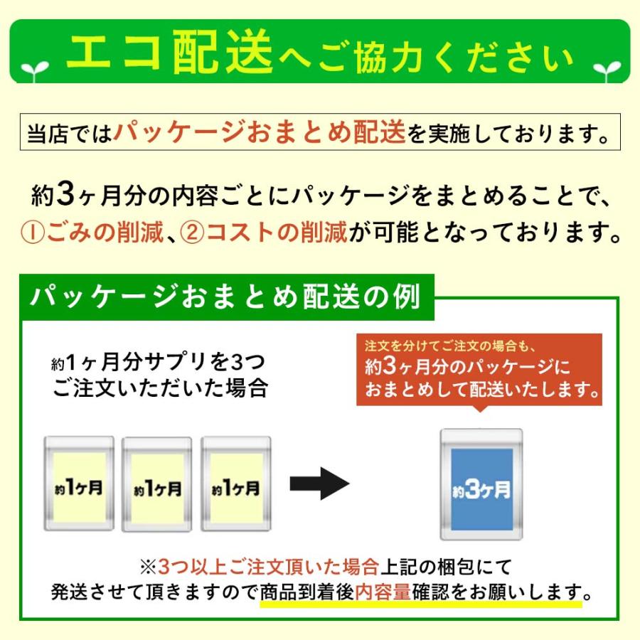 seedcoms（シードコムス） サプリ サプリメント ギムネマ濃縮カプセル