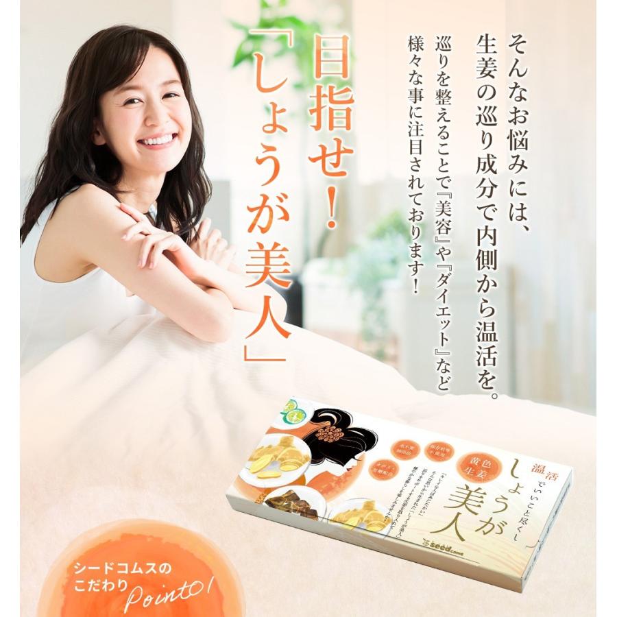 サプリ サプリメント 長崎県産しょうが使用 しょうが美人 ペースト状 1箱31包入り 化学調味料 着色料 保存料 香料 全て一切不使用 | seedcoms | 04