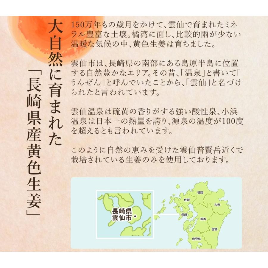 サプリ サプリメント 長崎県産しょうが使用 しょうが美人 ペースト状 1箱31包入り 化学調味料 着色料 保存料 香料 全て一切不使用 | seedcoms | 05