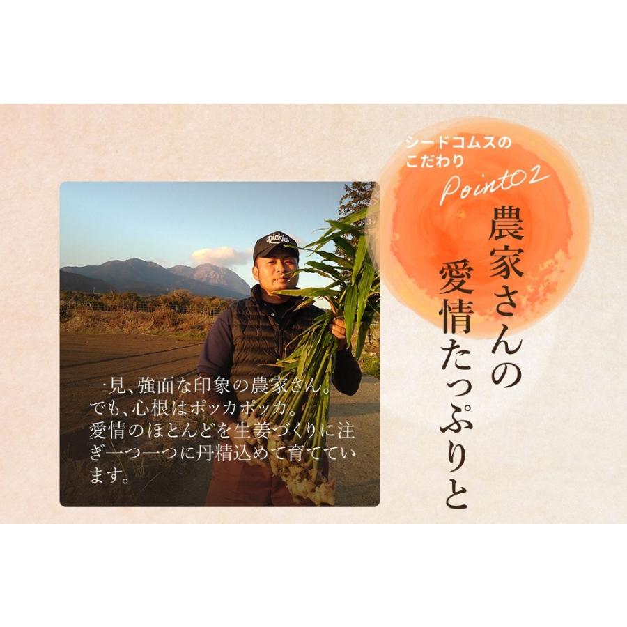 サプリ サプリメント 長崎県産しょうが使用 しょうが美人 ペースト状 1箱31包入り 化学調味料 着色料 保存料 香料 全て一切不使用 | seedcoms | 06