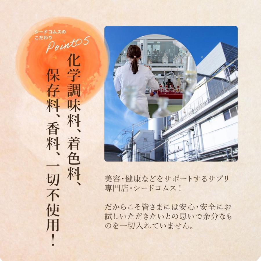 サプリ サプリメント 長崎県産しょうが使用 しょうが美人 ペースト状 1箱31包入り 化学調味料 着色料 保存料 香料 全て一切不使用 | seedcoms | 09