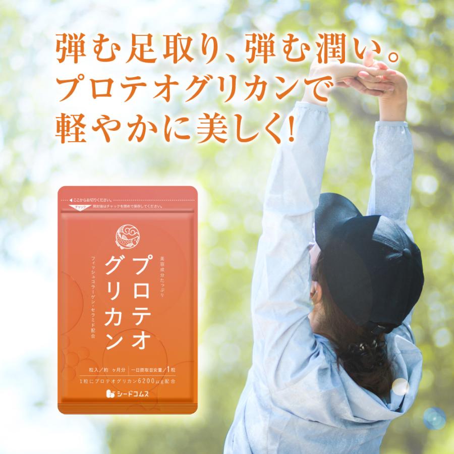 seedcoms（シードコムス） サプリ サプリメント プロテオグリカン 約3