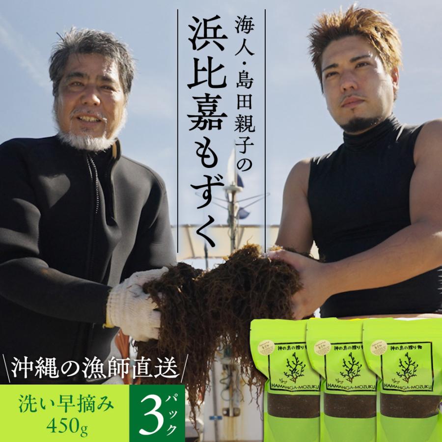 風味絶佳 沖縄県浜比嘉島から直送 海人 島田親子の浜比嘉もずく（早