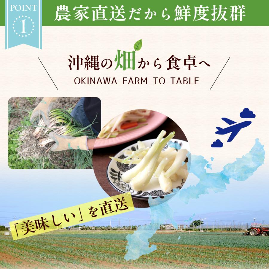 食品 島らっきょう 5kg 産地直送 専用ページ