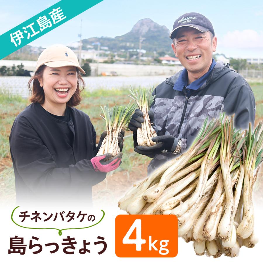 風味絶佳 沖縄県伊江島産 チネンバタケの島らっきょう4kg 生（土付き
