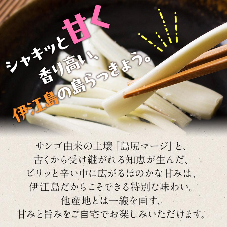 食品 島らっきょう 5kg 産地直送 専用ページ