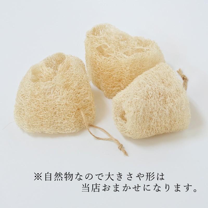 へちまたわし エコ ハルサー片岡さんのヘチマたわし へちま 有機農法 オーガニックの店シードリーフ沖縄 通販 Yahoo ショッピング