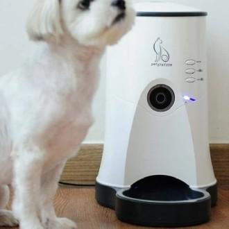 最先端 ペットステーション 遠隔給餌システム 犬 猫 ペット カメラ ごはん お世話 お話し 留守番 防犯 時間指定不可 Www Thedailyspud Com