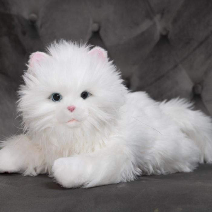 しっぽふりふり あまえんぼう子ねこちゃん デジレクト 子猫型 しっぽふりふり あまえんぼう子ねこちゃん デジレクト 子猫型