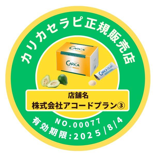 カリカセラピ 100包 SAIDO-PS501 カリカセラピ株式会社 青パパイヤ発酵 