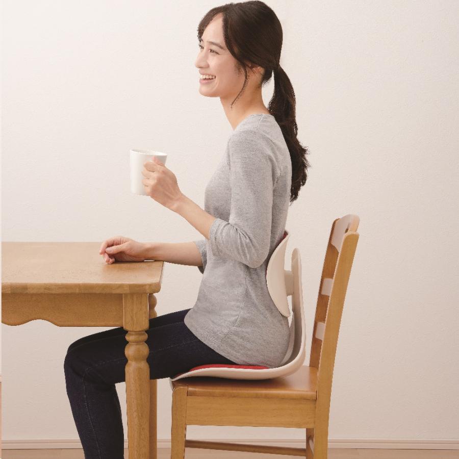 腰にピタッと美姿勢チェア メイダイ 座圧分散 体圧分散 腰の負担を軽減 勝野浩先生監修 腰にぴたっと美姿勢チェア_11