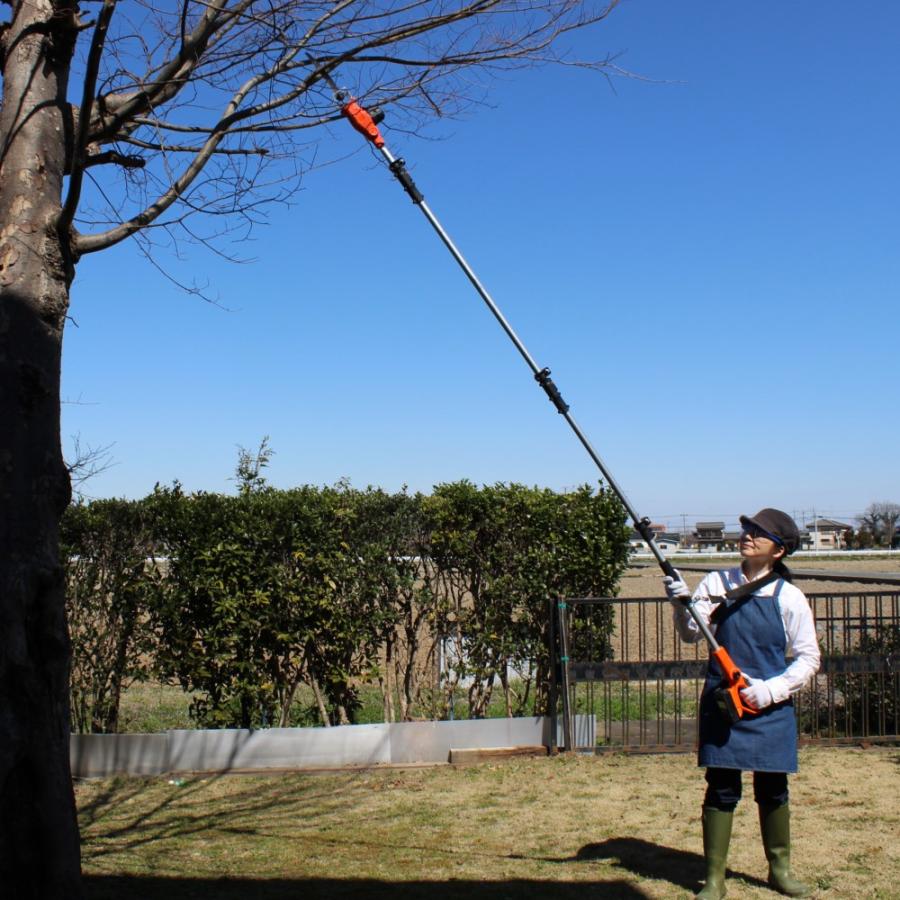 YARDFORCE 24Ｖコードレス3m高枝のこぎりライト 型番LE C21P-JP 高枝電動のこぎり ヤードフォース【正規品】_2