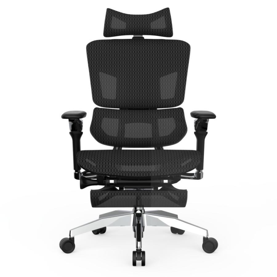 Rasical Chair Elite ラシカルチェア エリート ブラック RPN457-2 