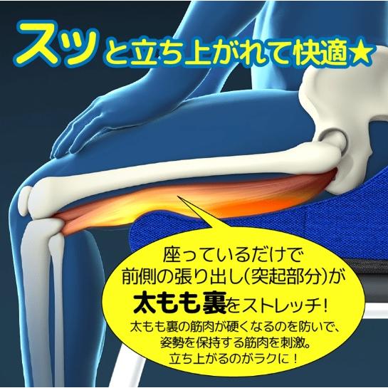 ろっかん式ストレッチクッション marubishi 高反発 クッション レッド/ネイビー 日本製の画像
