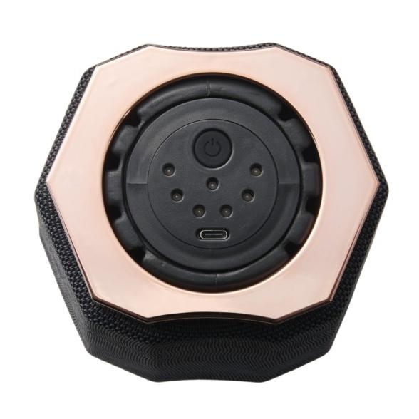 ☆レア名盤！！ 石川のうた 石川県民謡集 黒盤 初回プレス 加賀 能登 民謡