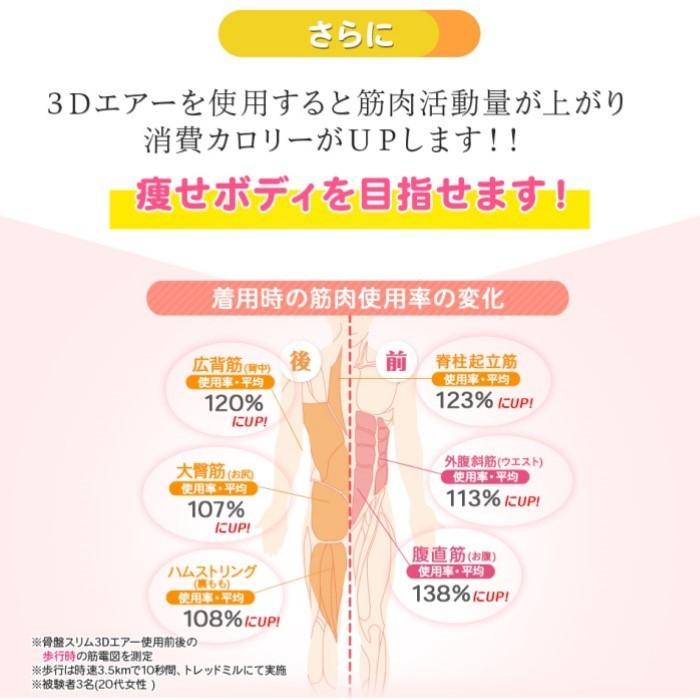 芦屋美整体 骨盤スリム3Dエアー 骨盤補正 骨盤ケア おしゃれ 座椅子