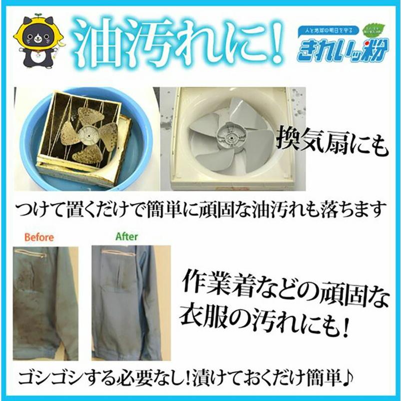 1kg x 1袋 除菌剤 きれいッ粉 過炭酸ナトリウム(酸素系) キッチン