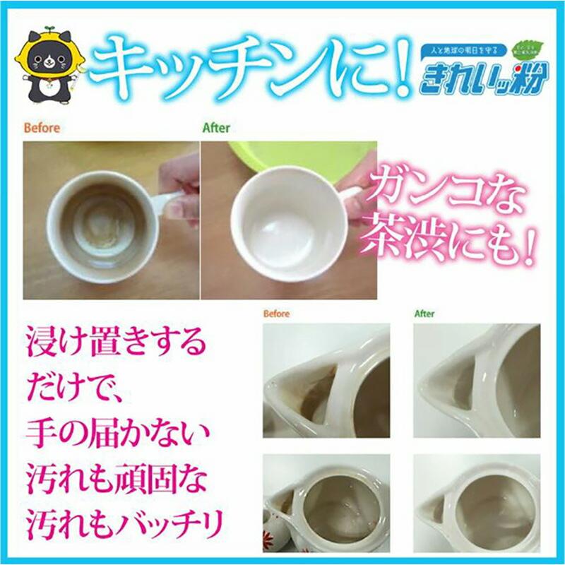 1kg x 1袋 除菌剤 きれいッ粉 過炭酸ナトリウム(酸素系) キッチン