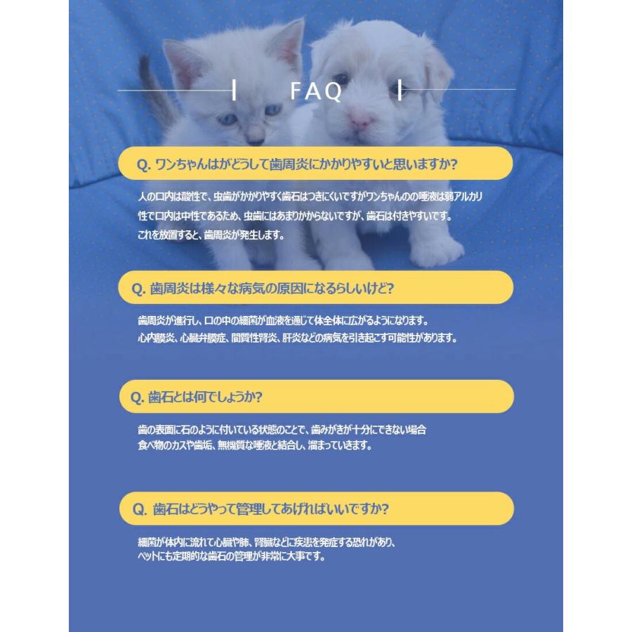 １個【Petden Plus】 ペット用 電動デンタルケア用品 「安全検証保証」 ペットデンプラス 防水機能 歯科用の抗菌ステンレス使用 ペット用品_8