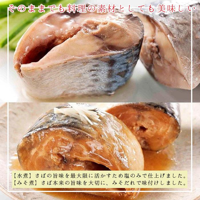 HOKO 宝幸 日本のさば 缶詰 魚 防災 非常食 鯖缶 水煮＆味噌煮 各6缶
