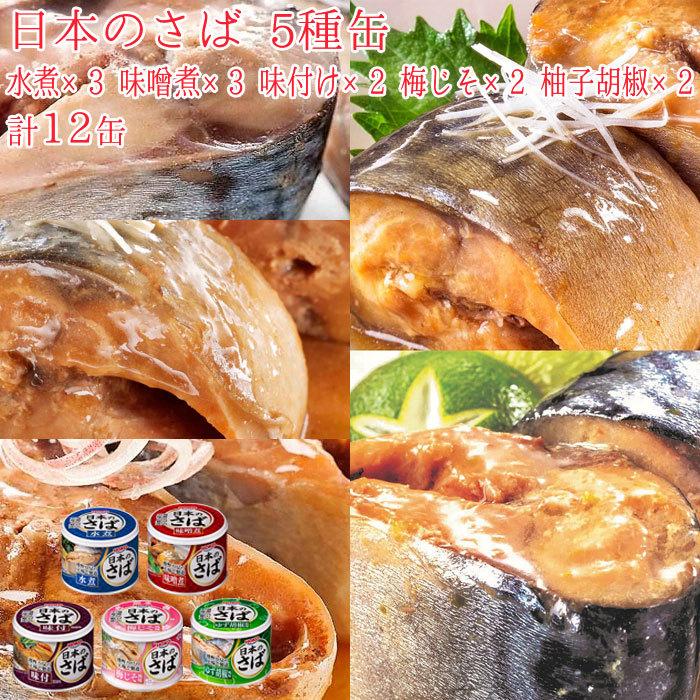 HOKO 宝幸 日本のさば 缶詰 魚 缶詰セット 防災 非常食 鯖缶 5種缶 水
