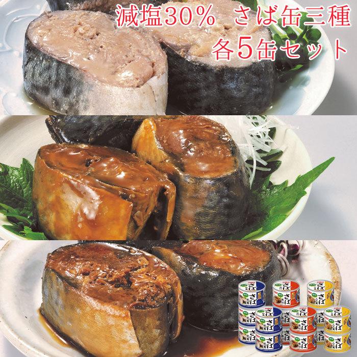 受け取り時間帯指定可】 災害用 缶詰め 鯖缶 味噌煮 水煮 48缶 