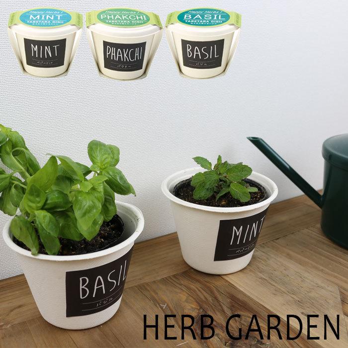 ハーブ 栽培キット 栽培セット バジル ミント パクチー Happy Herbs Cg 1 ガーデン 育てる 育成 野菜 栽培 ベランダ菜園 Tacco2101 Seek 通販 Yahoo ショッピング