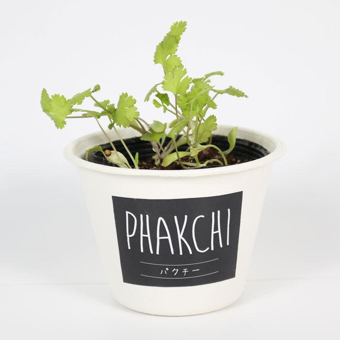 ハーブ 栽培キット 栽培セット バジル ミント パクチー Happy Herbs Cg 1 ガーデン 育てる 育成 野菜 栽培 ベランダ菜園 Tacco2101 Seek 通販 Yahoo ショッピング