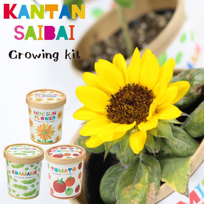 栽培キット かわいい プレゼント 栽培セット 育てる 野菜 花 誰でもかんたん 野菜栽培 エコポット トマト ひまわり 枝豆 Cg 401 ベラン Tacco2102 Seek 通販 Yahoo ショッピング