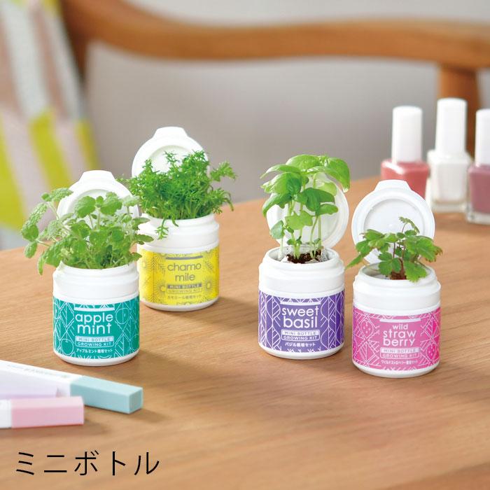 栽培セット 室内 栽培キット バジル ミニボトル ハーブス アップル