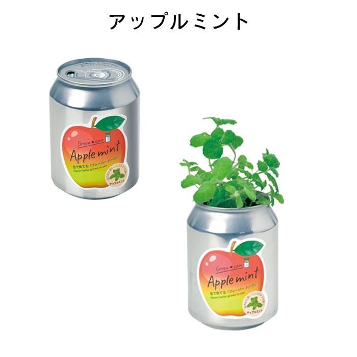 栽培セット 室内 プチギフト 缶 栽培キット ハーブ 初心者 グリーン