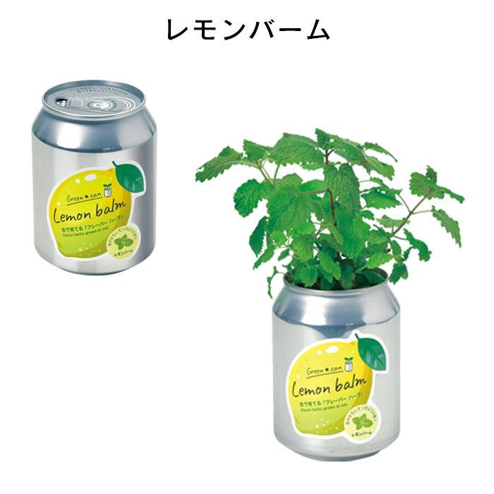 栽培セット 室内 プチギフト 缶 栽培キット ハーブ 初心者 グリーン