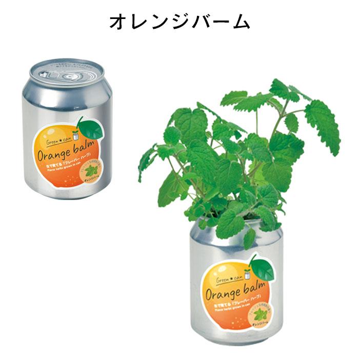 栽培セット 室内 プチギフト 缶 栽培キット ハーブ 初心者 グリーン