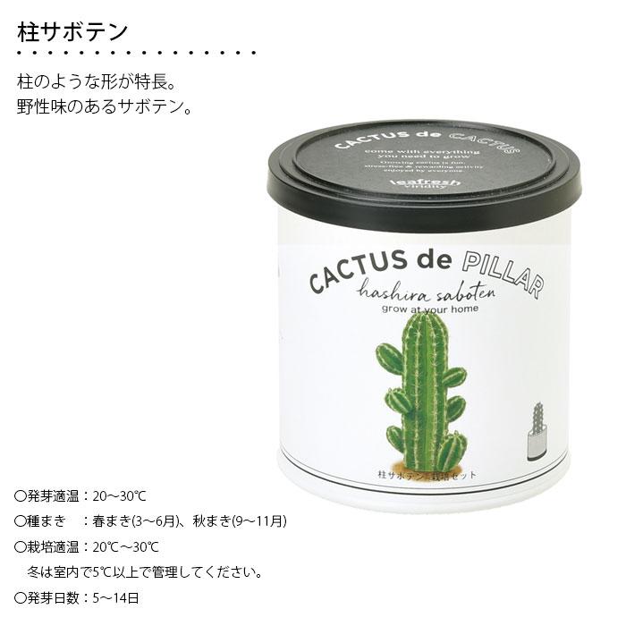 ディズニー 狂気のサボテン Lサイズ 3種セット 3個セット サボバケツ栽培キット サボテン 栽培セット GD-1034 丸