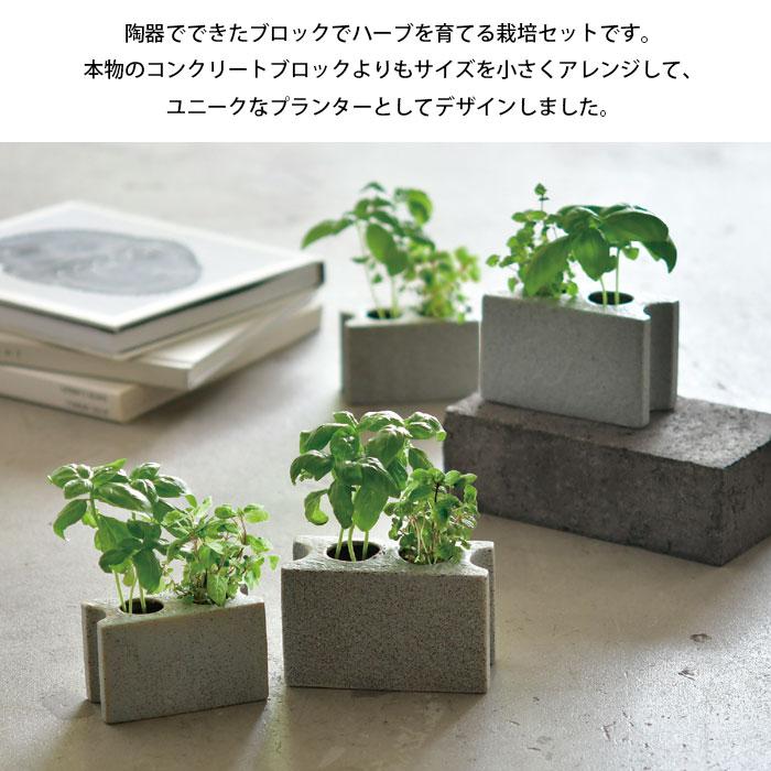 栽培キット ミント 聖新陶芸 プランツブロック S バジル 栽培セット