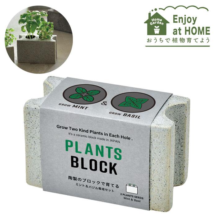 栽培キット ミント 聖新陶芸 プランツブロック M バジル 栽培セット GD
