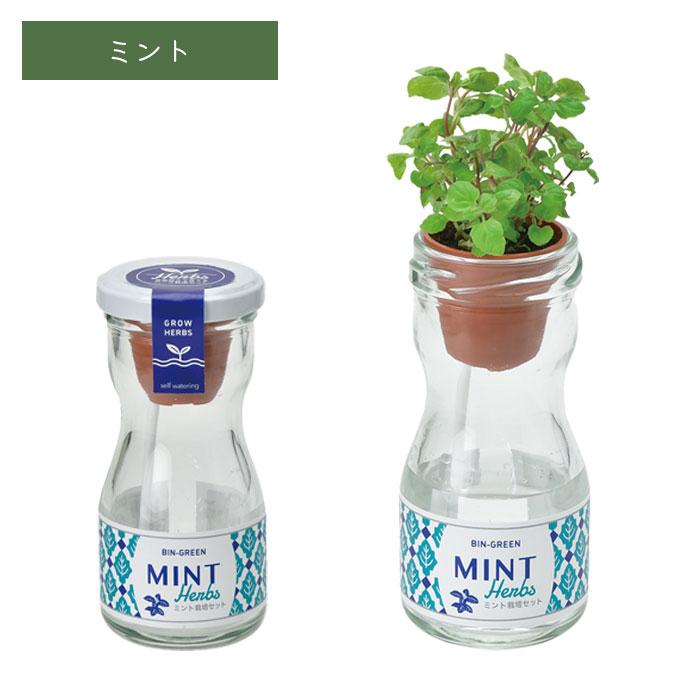 ハーブ 栽培キット 栽培セット ハーブ栽培キット 聖新陶芸 ガラス