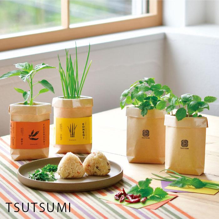 栽培キット 室内 薬味 TSUTSUMI 三つ葉 唐辛子 しそ 小ネギ GD-996