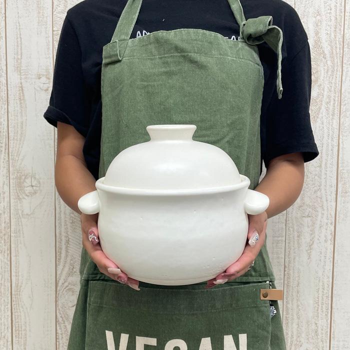 土鍋でご飯を炊く 3合 土鍋 ごはん鍋 ご飯 たいせい窯 日本製 ごはんが